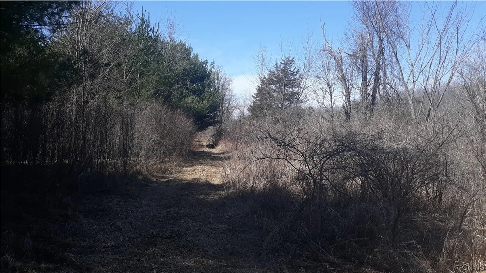 Property at 0 Co Route 25, Antwerp, NY 13608 10