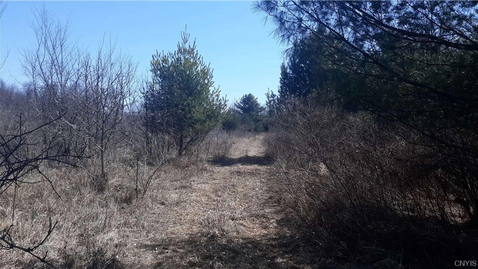 Property at 0 Co Route 25, Antwerp, NY 13608 11