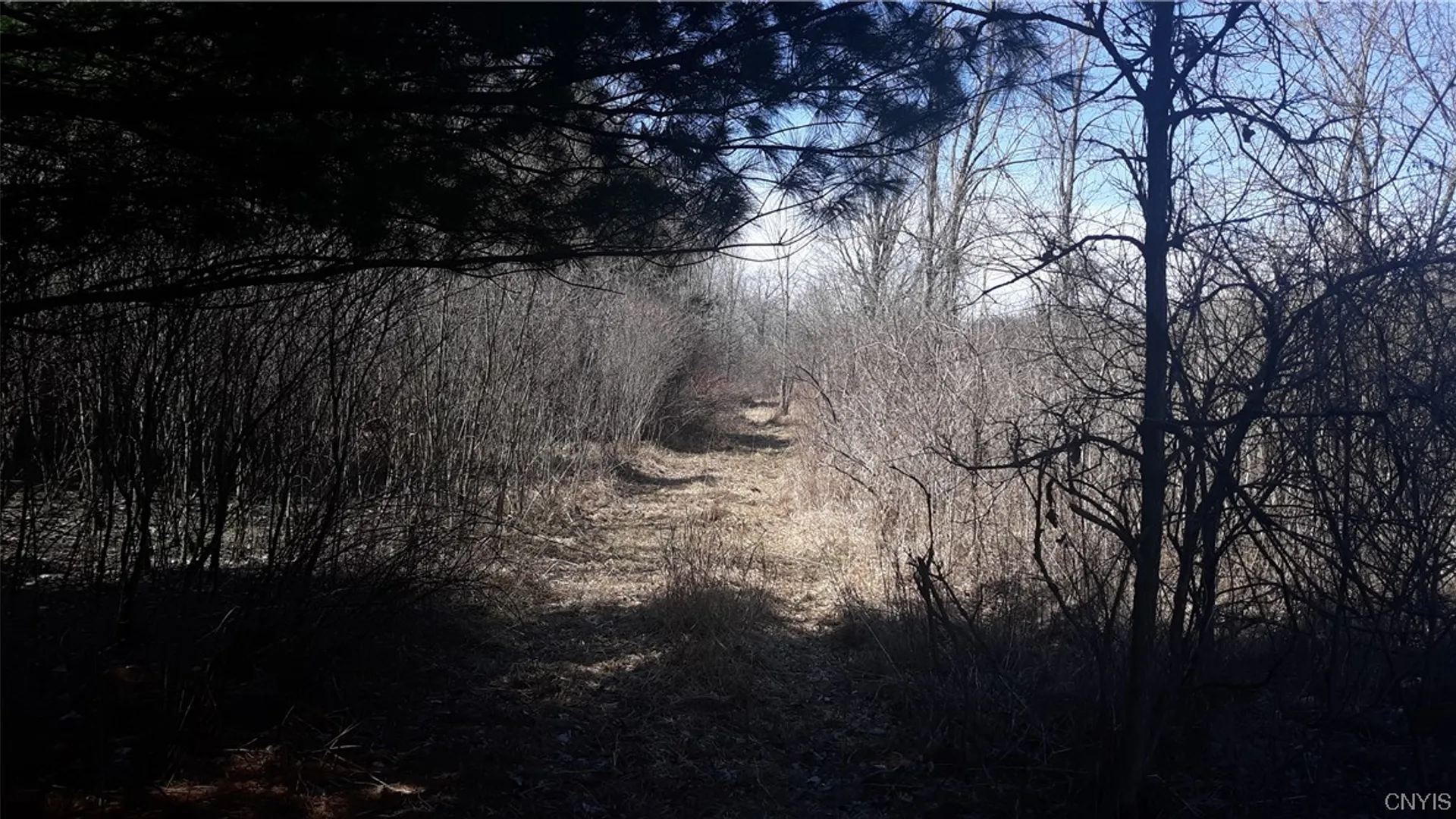 Property at 0 Co Route 25, Antwerp, NY 13608 12