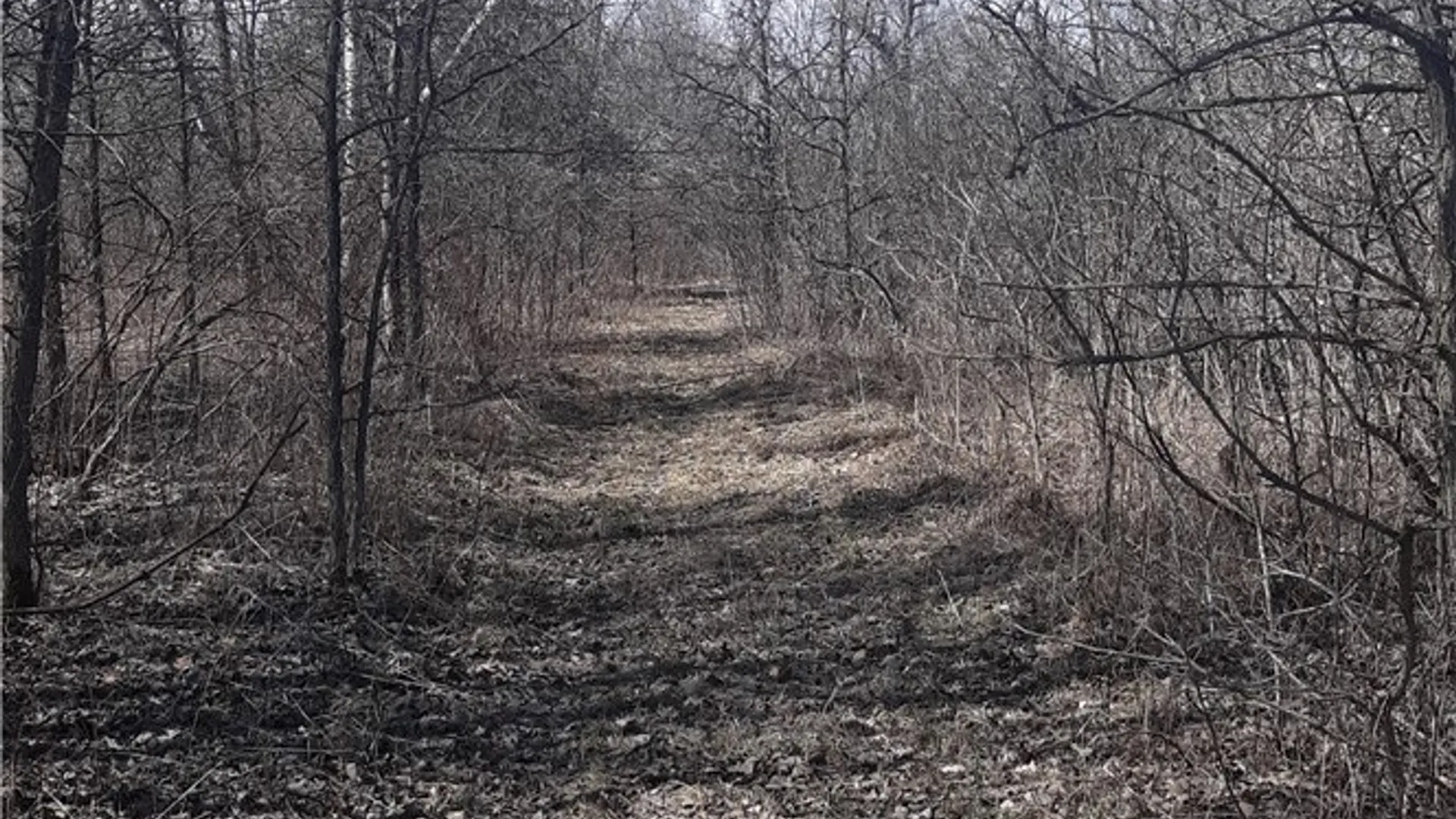 Property at 0 Co Route 25, Antwerp, NY 13608 16