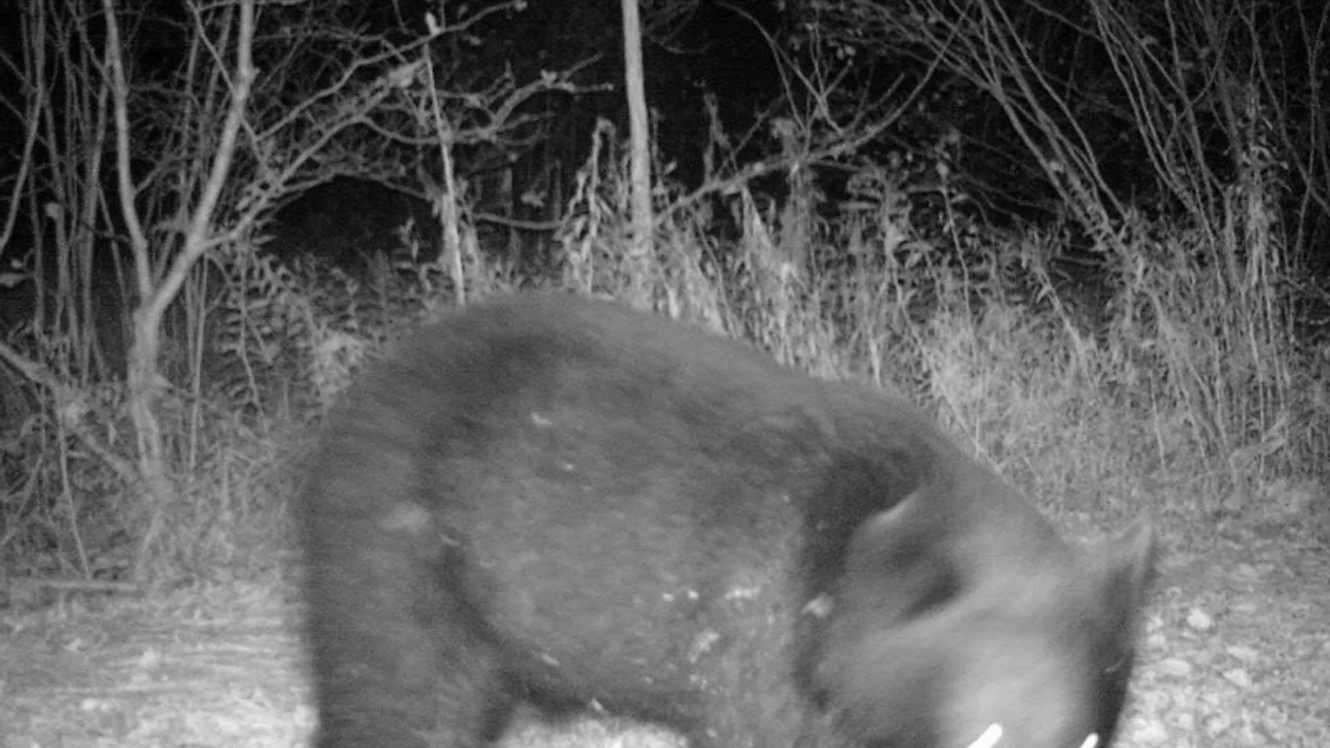 Property at 0 Co Route 25, Antwerp, NY 13608 17