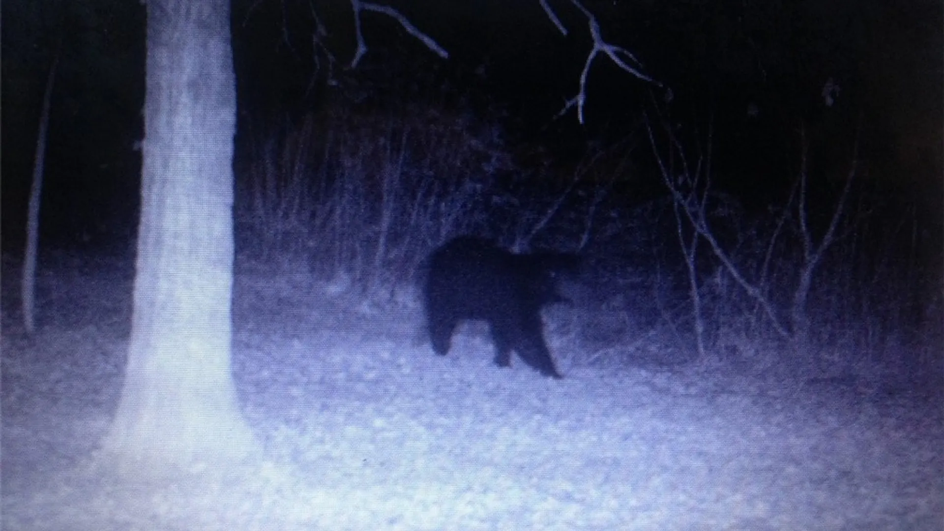 Property at 0 Co Route 25, Antwerp, NY 13608 18