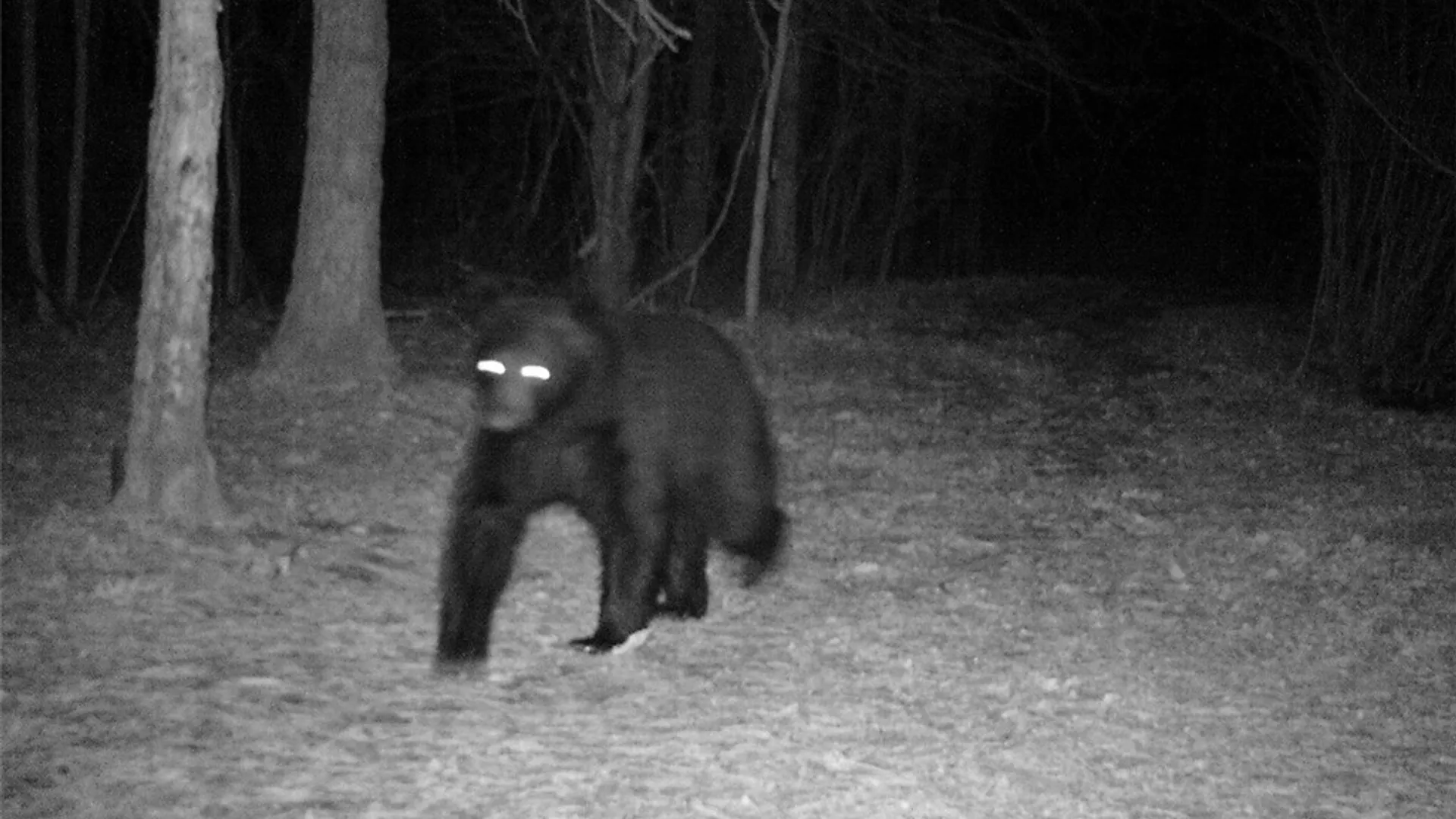 Property at 0 Co Route 25, Antwerp, NY 13608 19