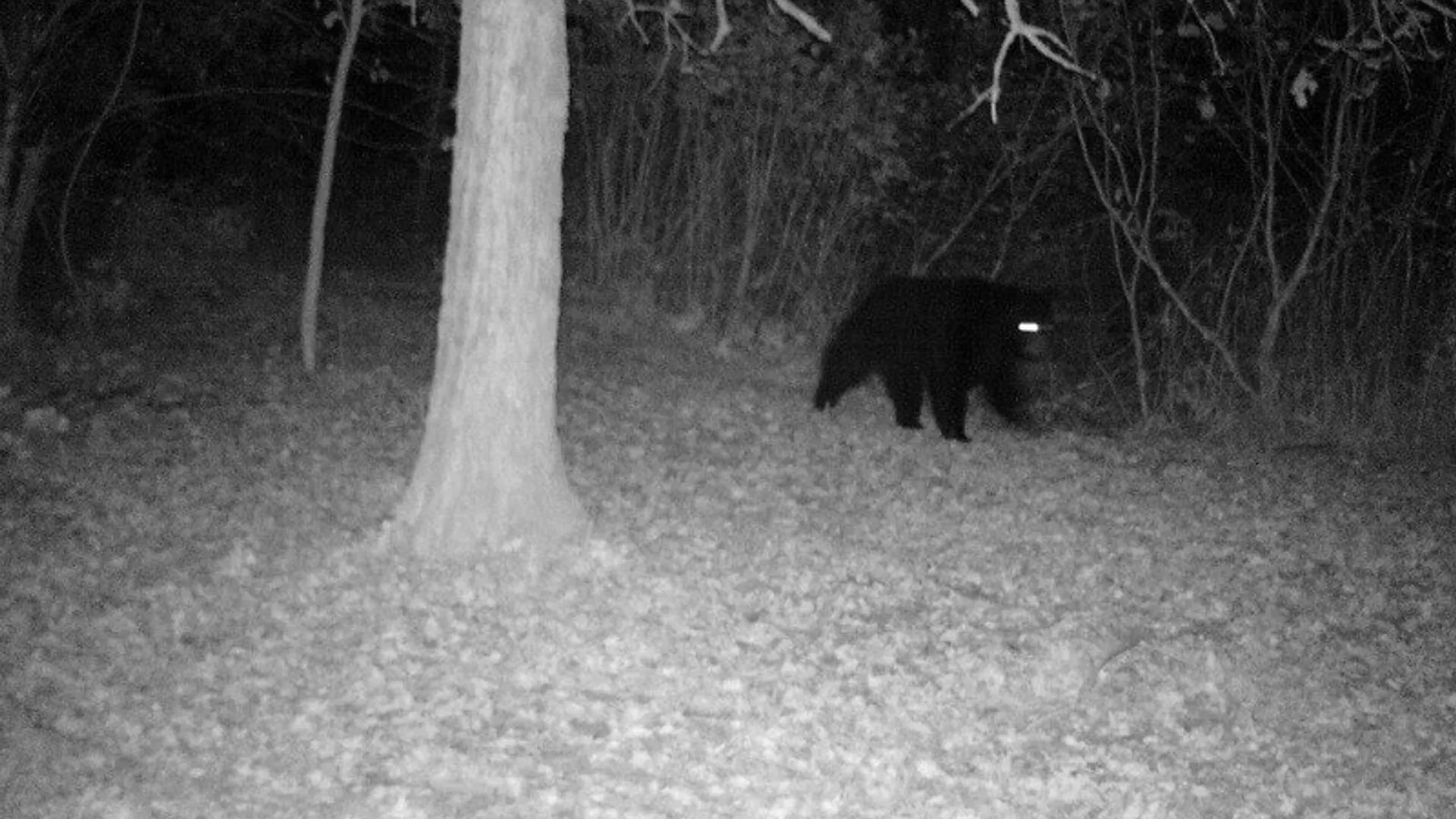 Property at 0 Co Route 25, Antwerp, NY 13608 20