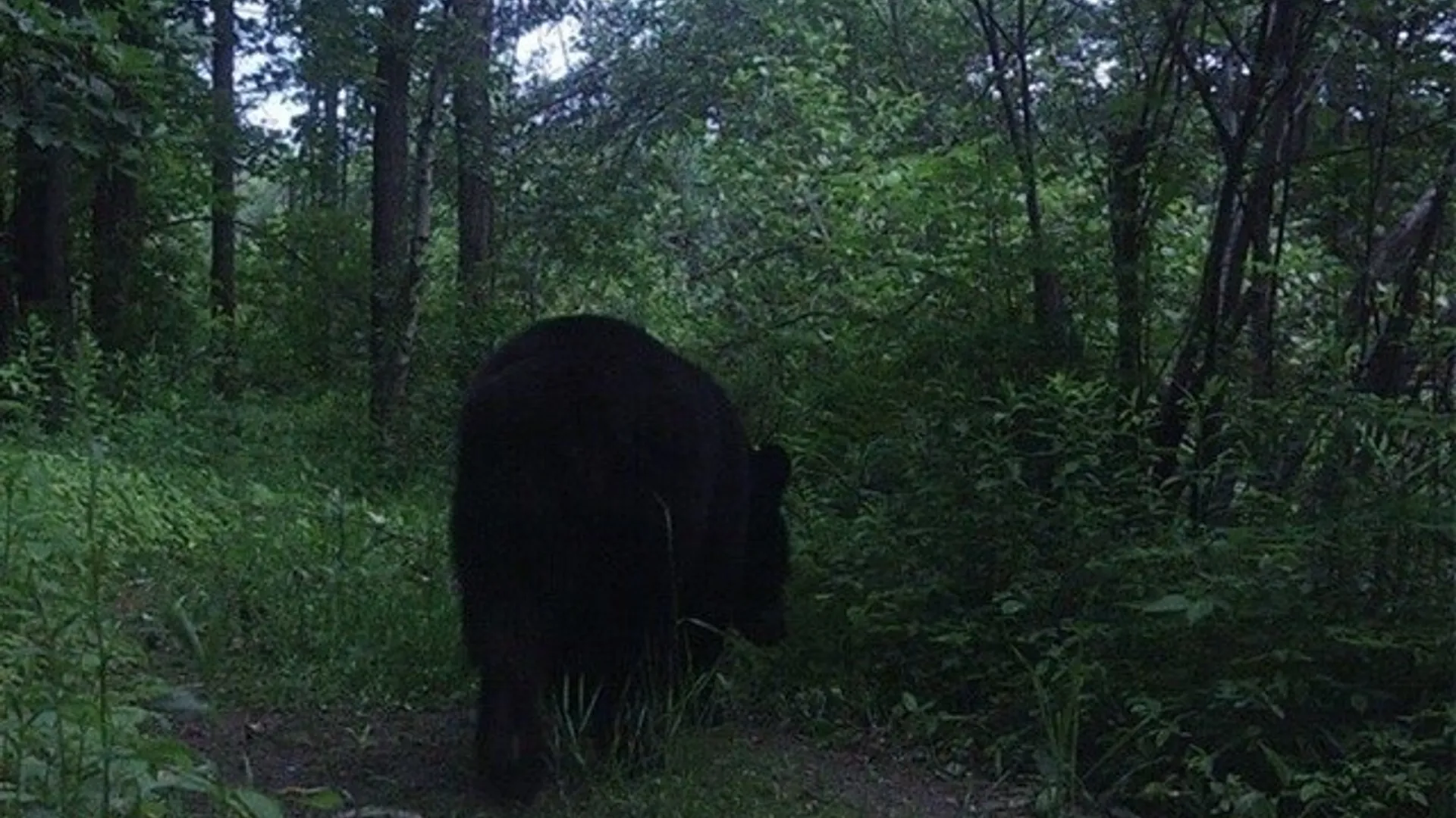 Property at 0 Co Route 25, Antwerp, NY 13608 21