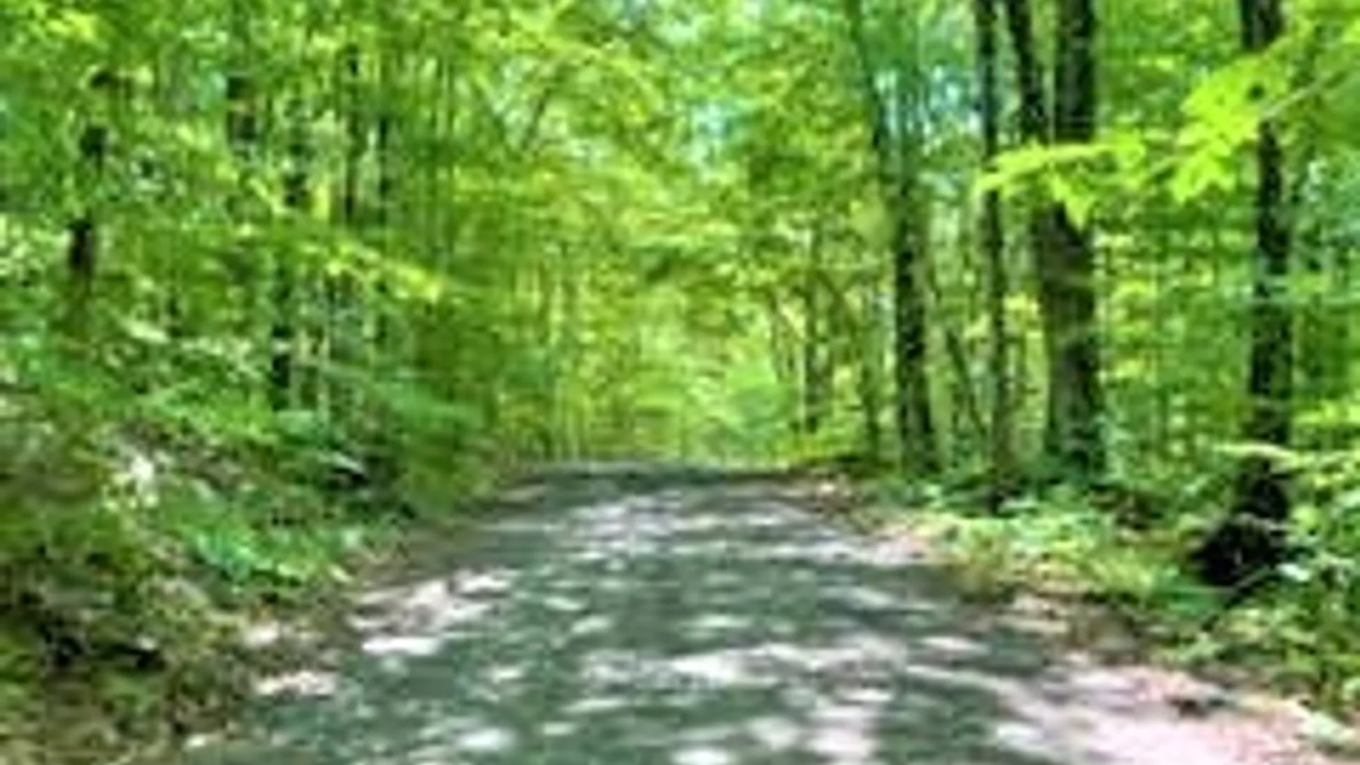 Property at 01 Overswamp Road, Oppenheim, NY 13452 11