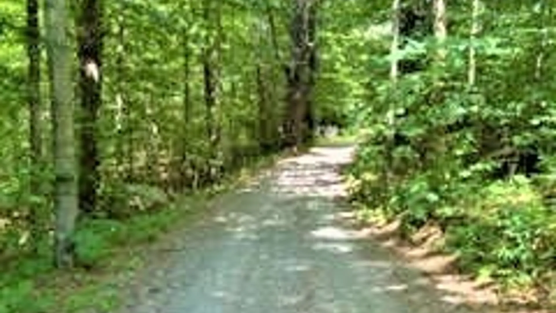 Property at 01 Overswamp Road, Oppenheim, NY 13452 13