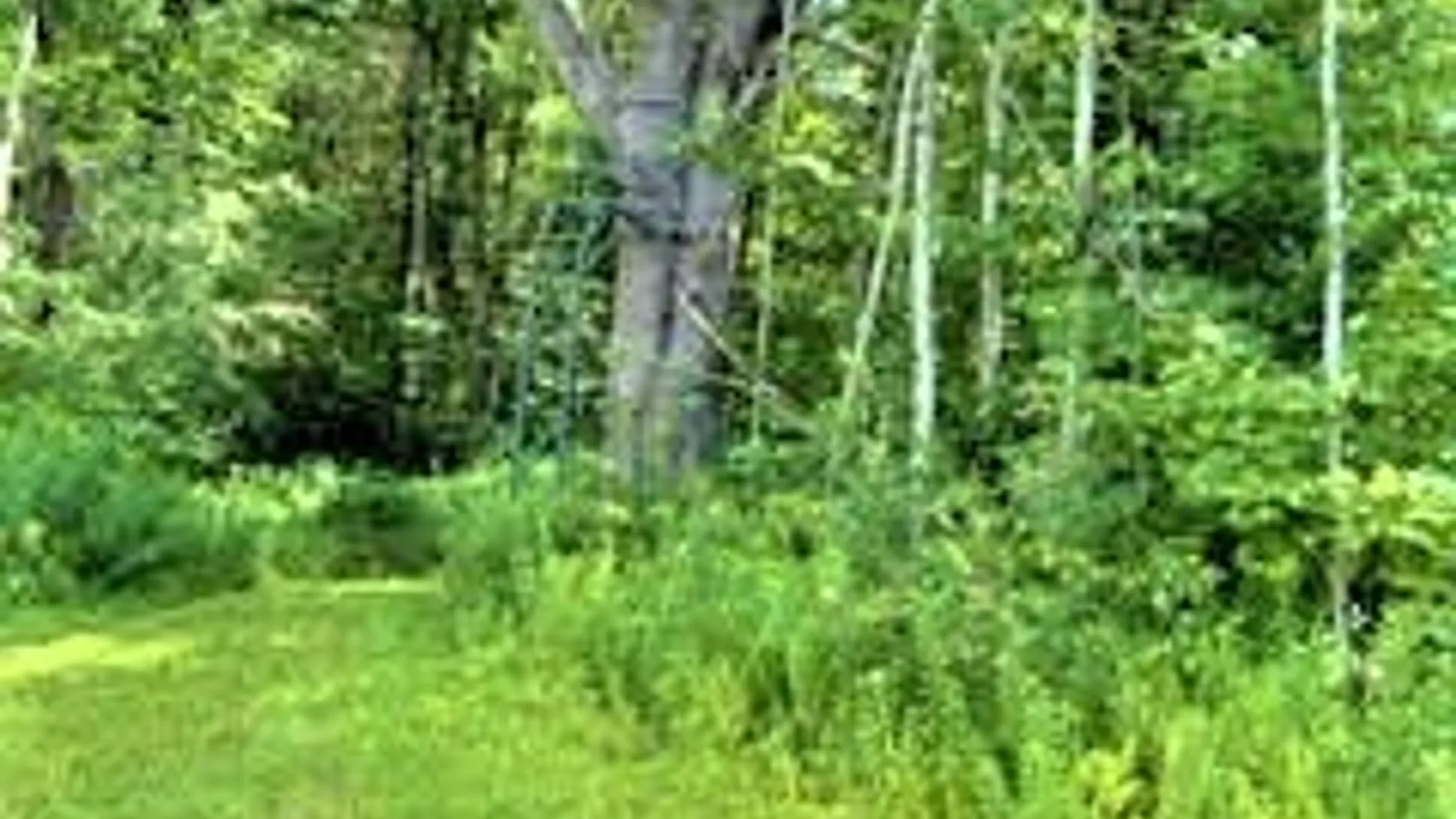 Property at 01 Overswamp Road, Oppenheim, NY 13452 14