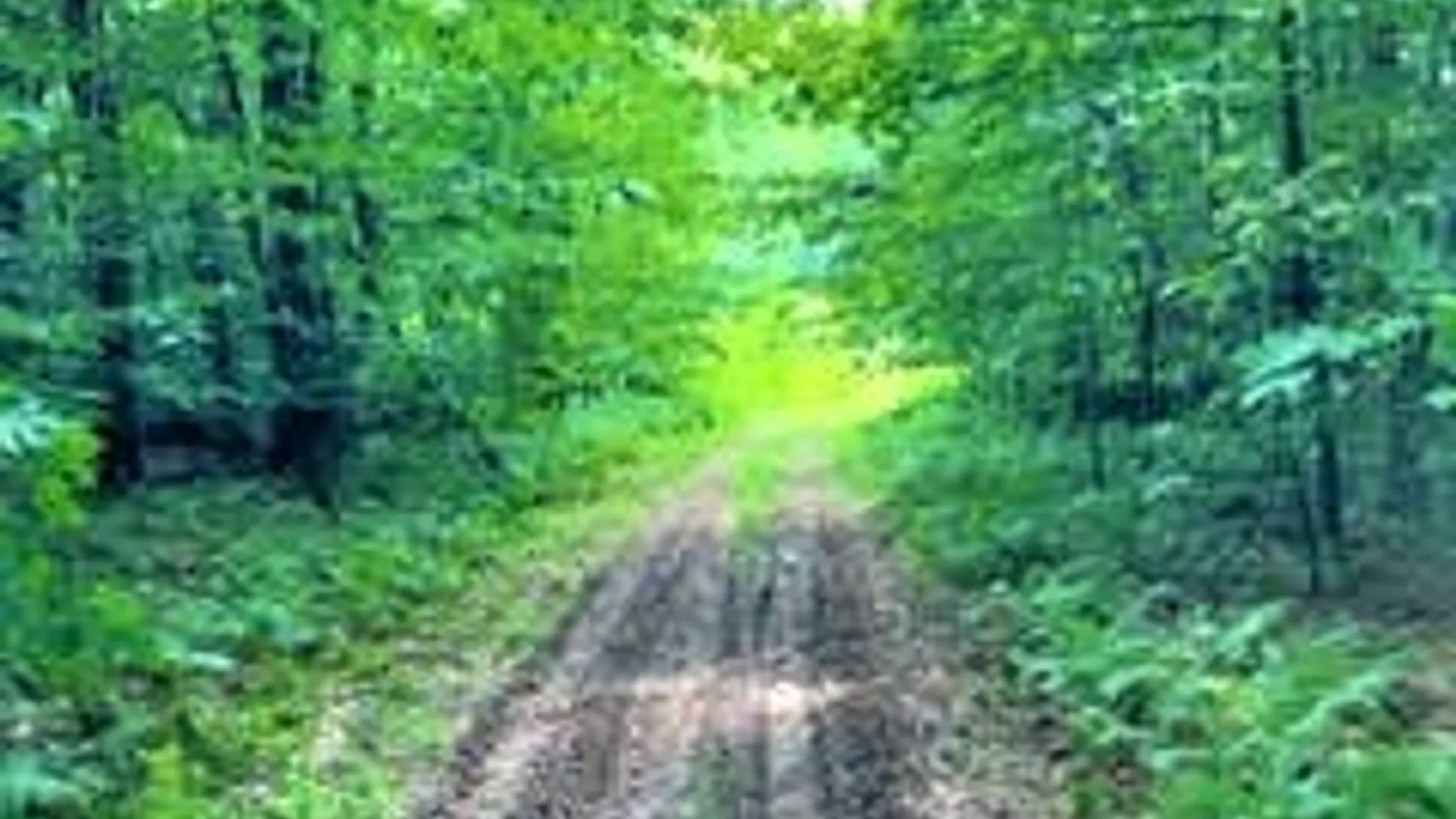 Property at 01 Overswamp Road, Oppenheim, NY 13452 15