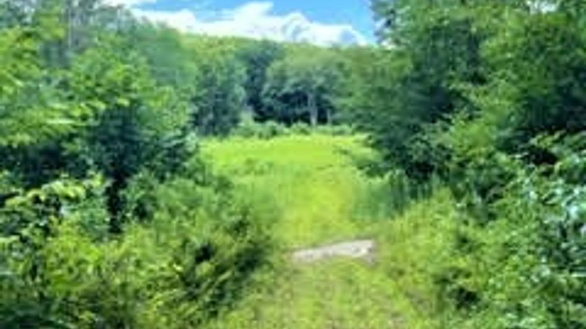 Property at 01 Overswamp Road, Oppenheim, NY 13452 16