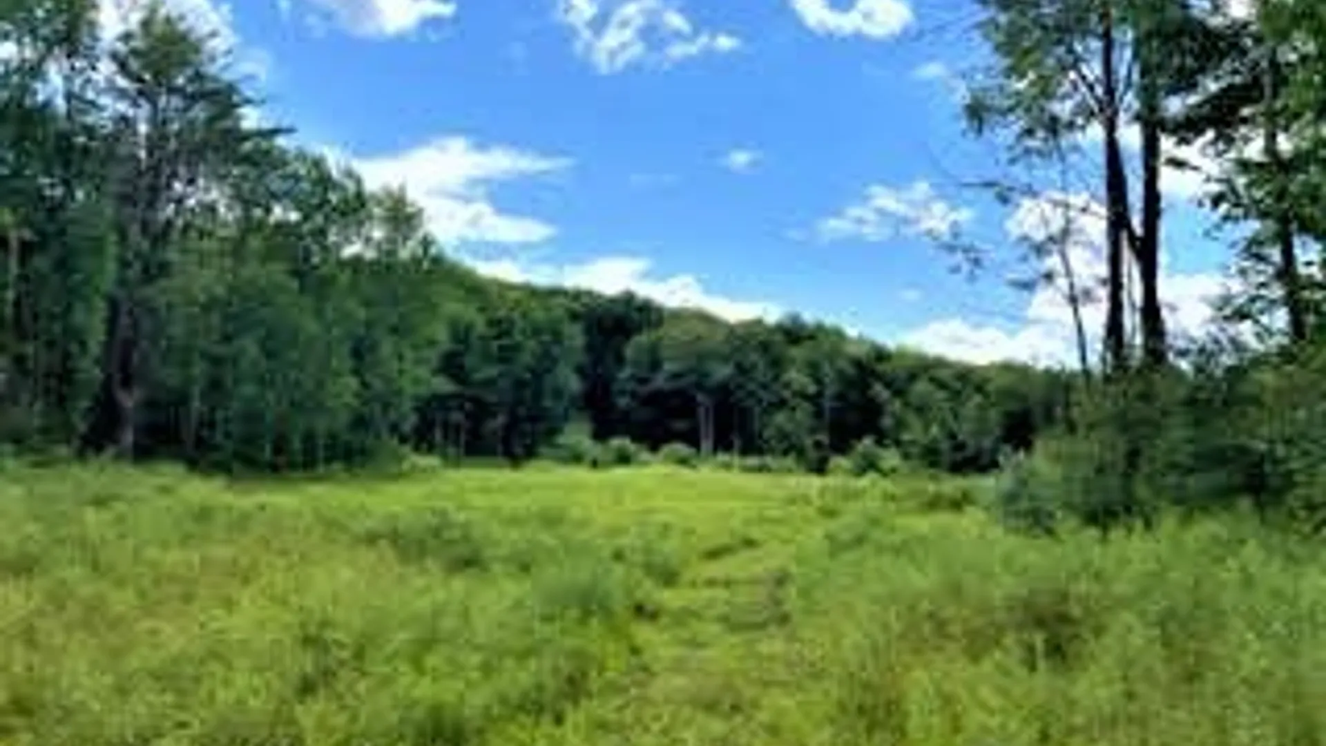 Property at 01 Overswamp Road, Oppenheim, NY 13452 17