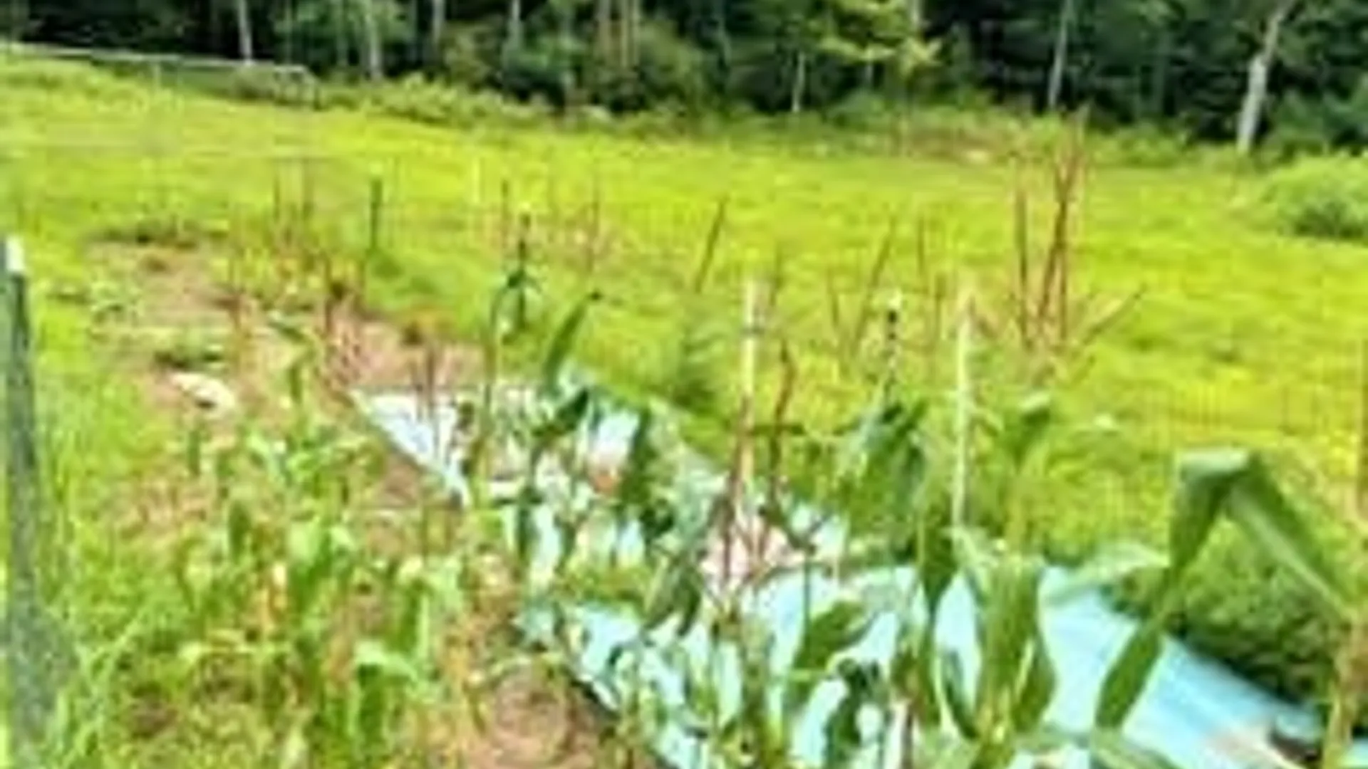 Property at 01 Overswamp Road, Oppenheim, NY 13452 2