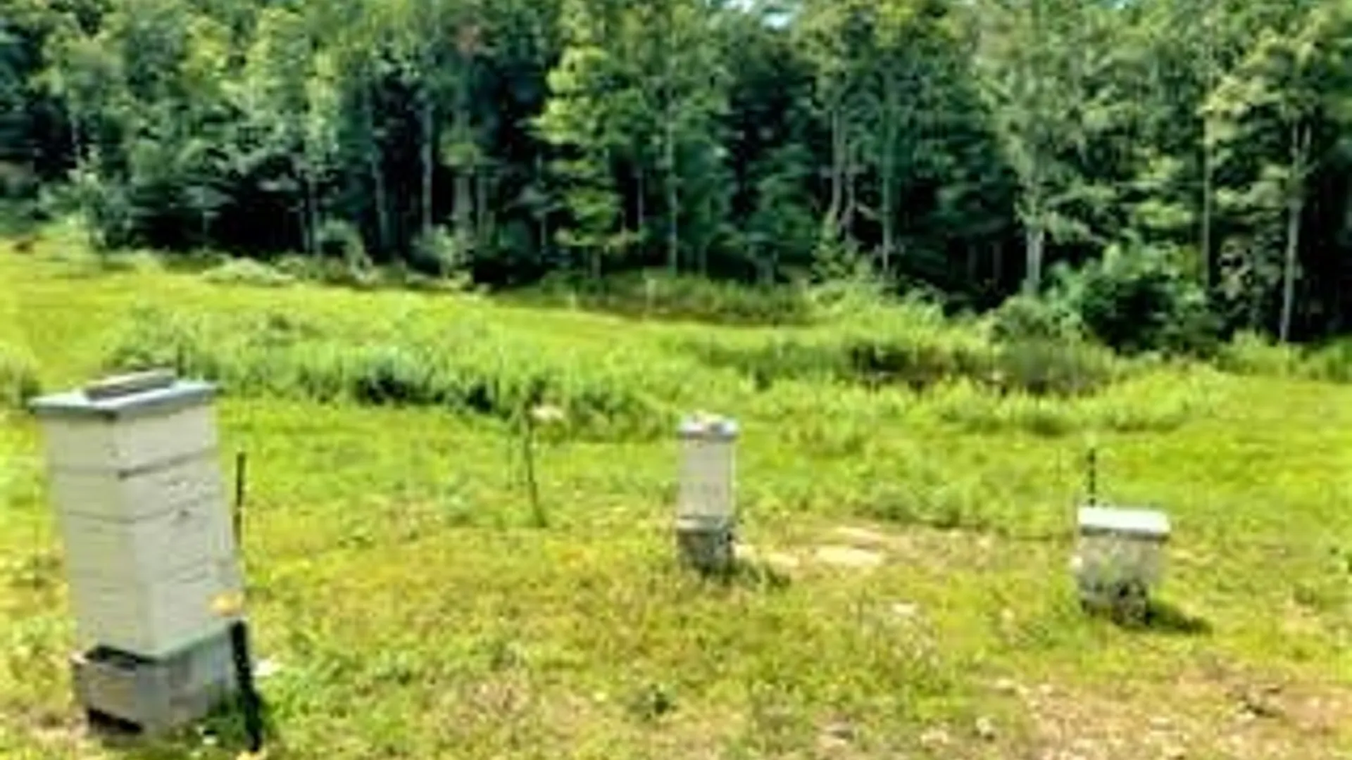 Property at 01 Overswamp Road, Oppenheim, NY 13452 26