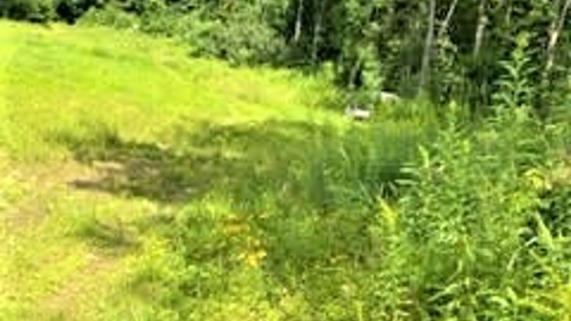 Property at 01 Overswamp Road, Oppenheim, NY 13452 27