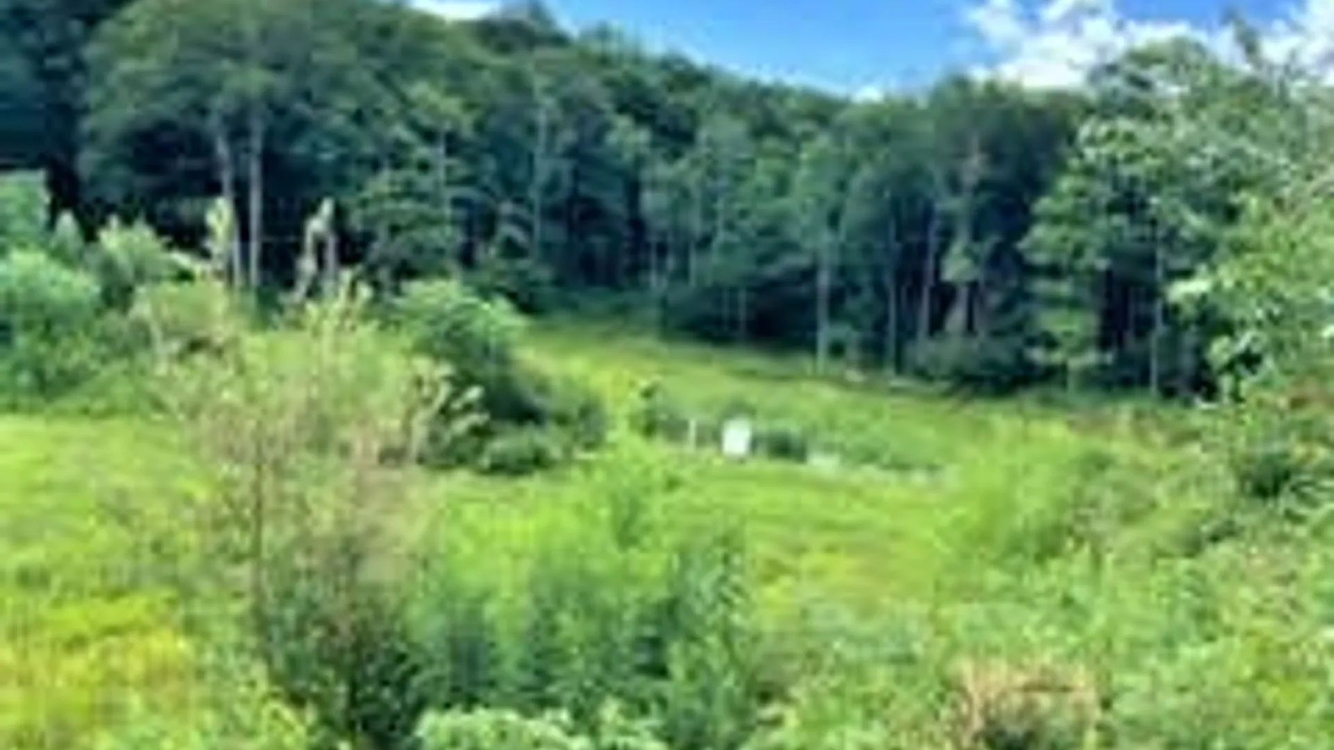 Property at 01 Overswamp Road, Oppenheim, NY 13452 28