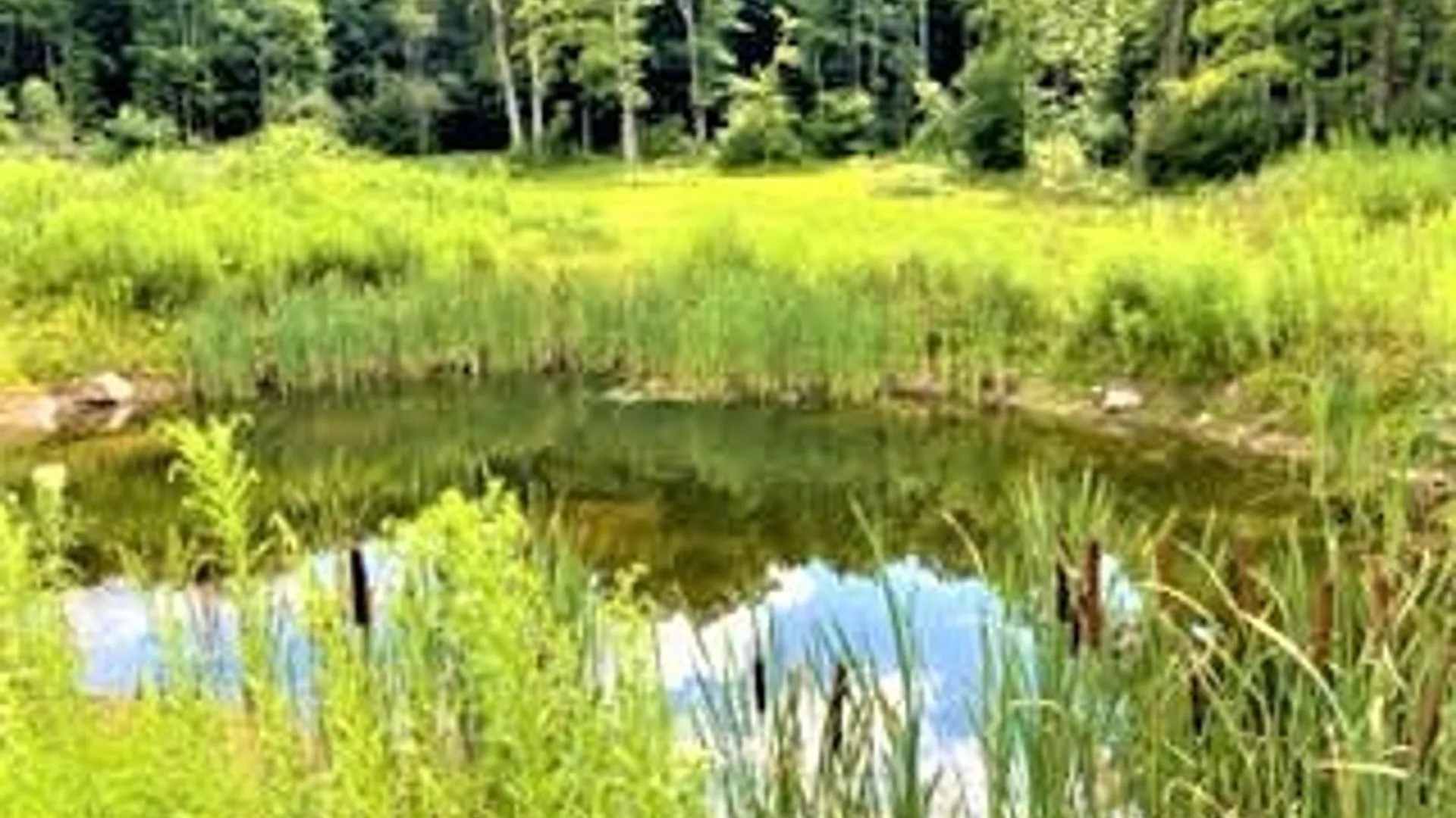 Property at 01 Overswamp Road, Oppenheim, NY 13452 32
