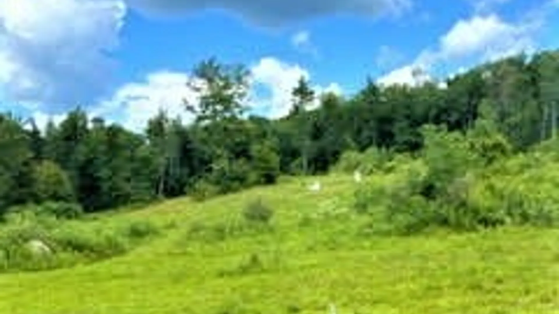 Property at 01 Overswamp Road, Oppenheim, NY 13452 4