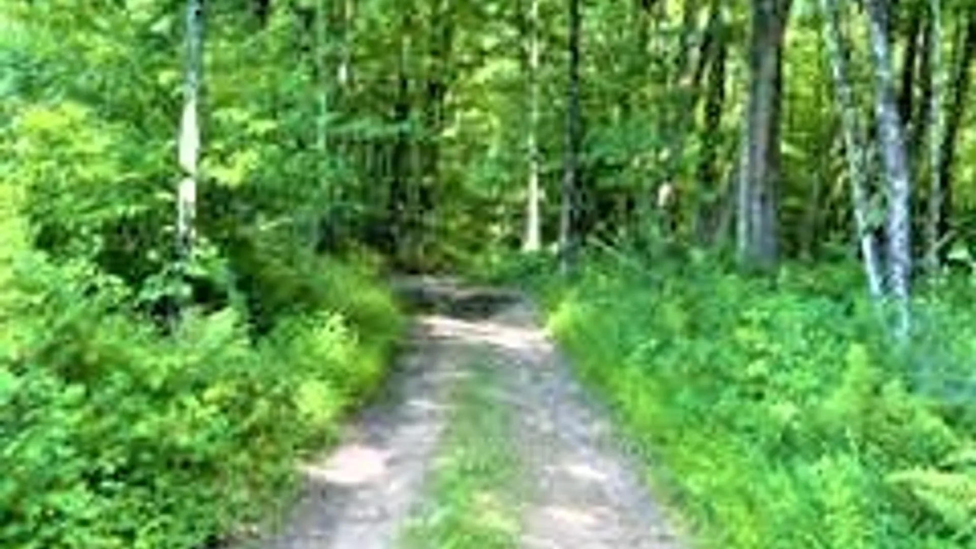 Property at 01 Overswamp Road, Oppenheim, NY 13452 9