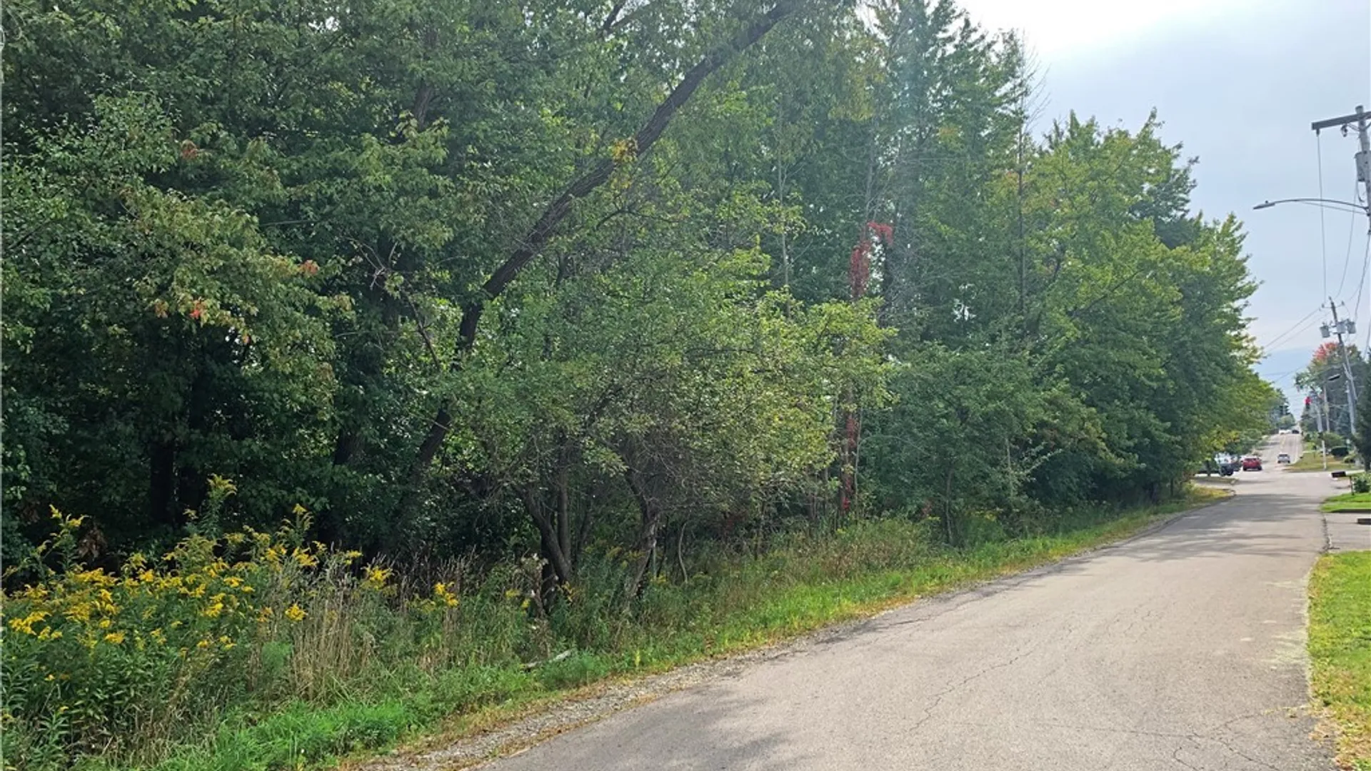 Property at 21 Sherman Ave, Ellicott, NY 14701 2