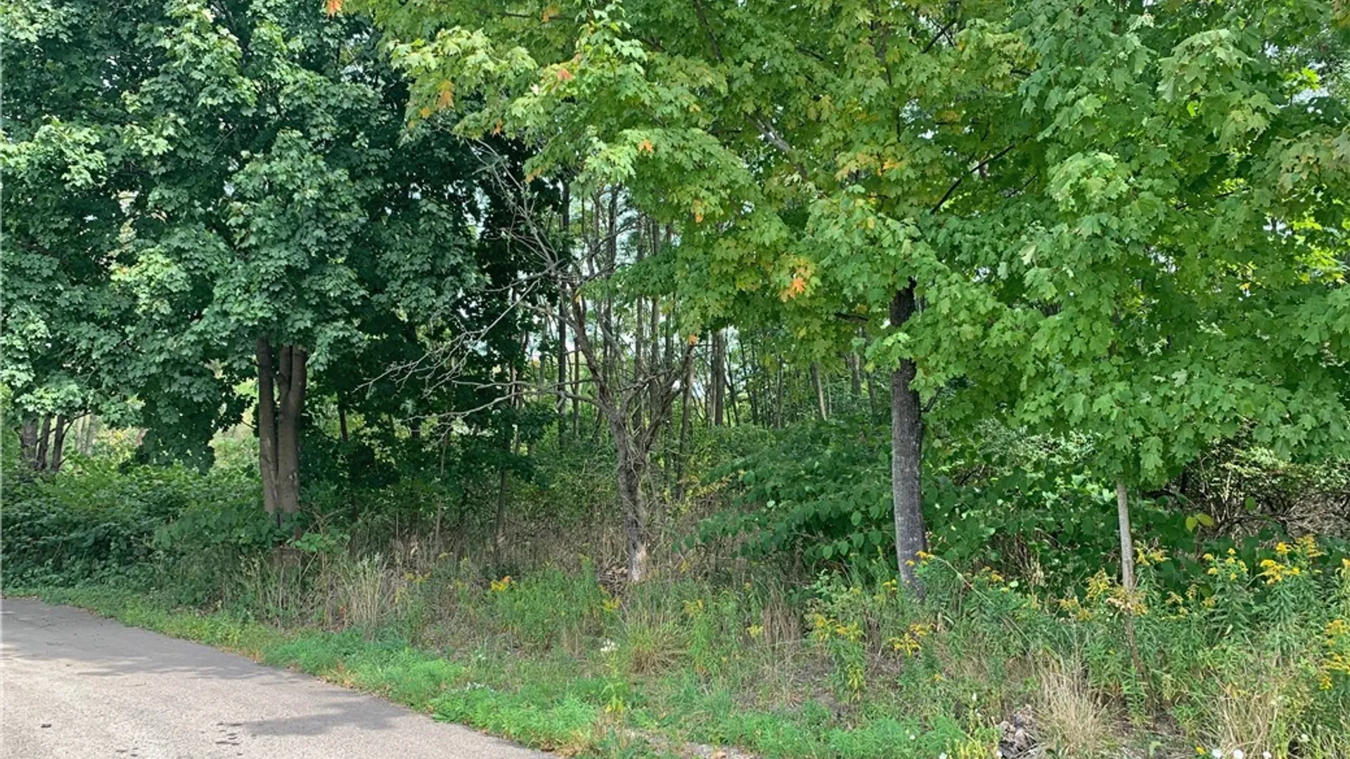 Property at 21 Sherman Ave, Ellicott, NY 14701 5