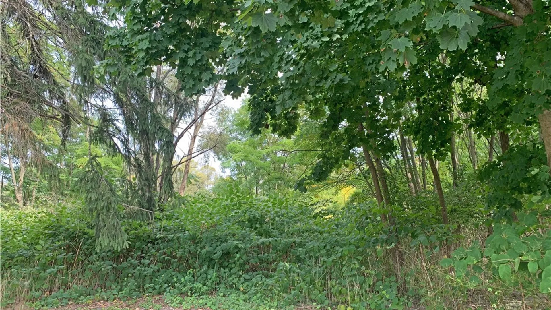 Property at 21 Sherman Ave, Ellicott, NY 14701 6