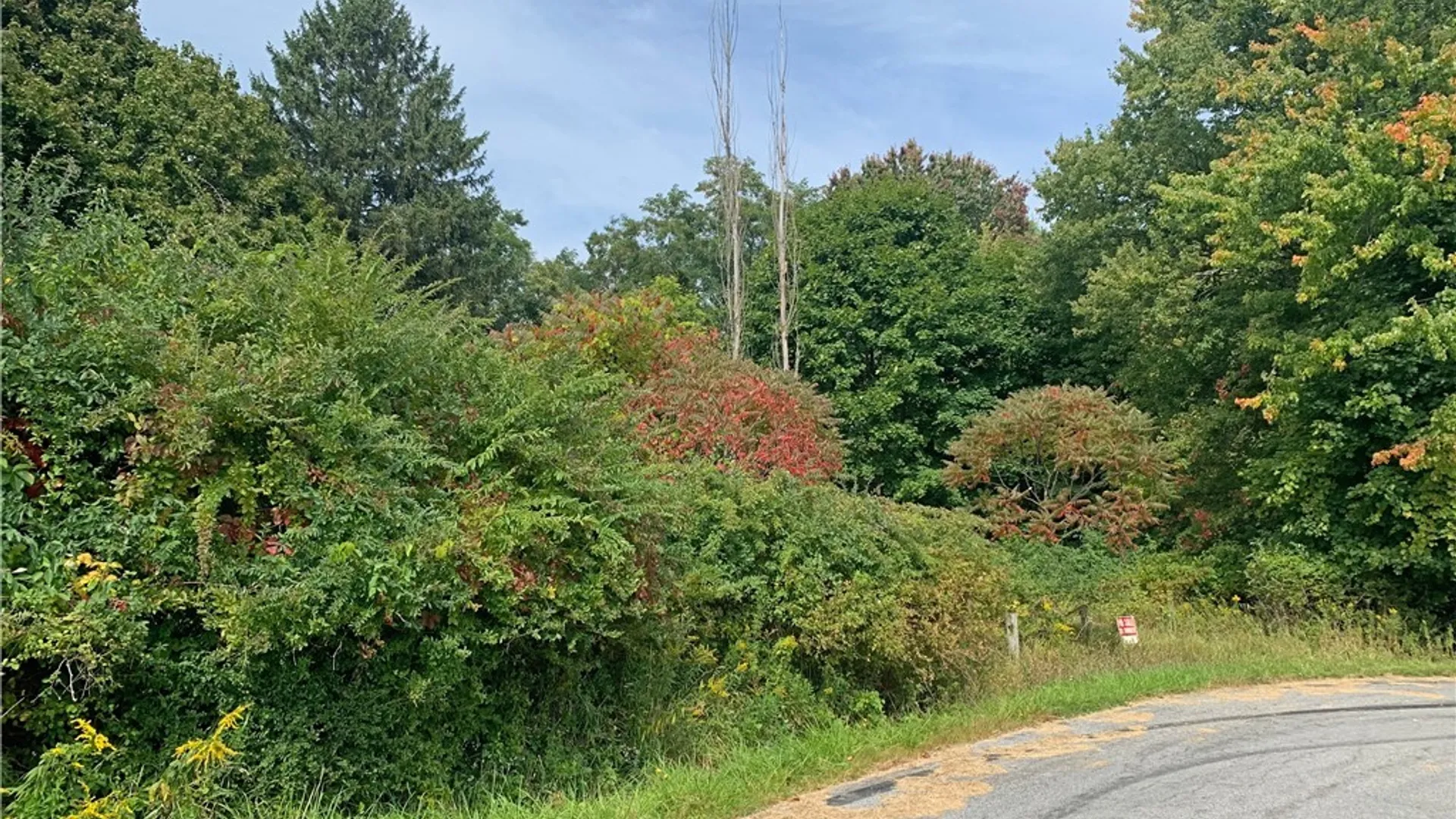 Property at 21 Sherman Ave, Ellicott, NY 14701 8