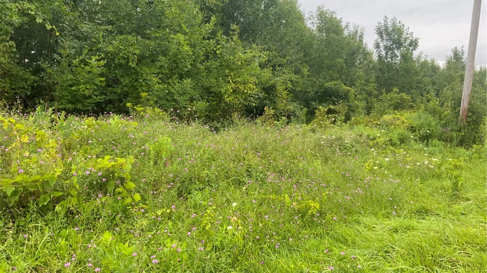 Property at 00 Gravel Road, Ridgeway, NY 14103 2