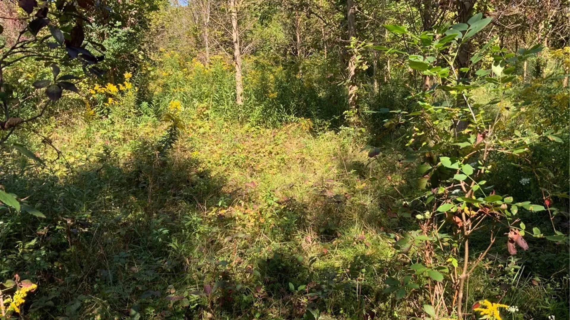 Property at 00 Gravel Road, Ridgeway, NY 14103 6