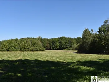 Property at 0 Route 39, Perrysburg, NY 14129