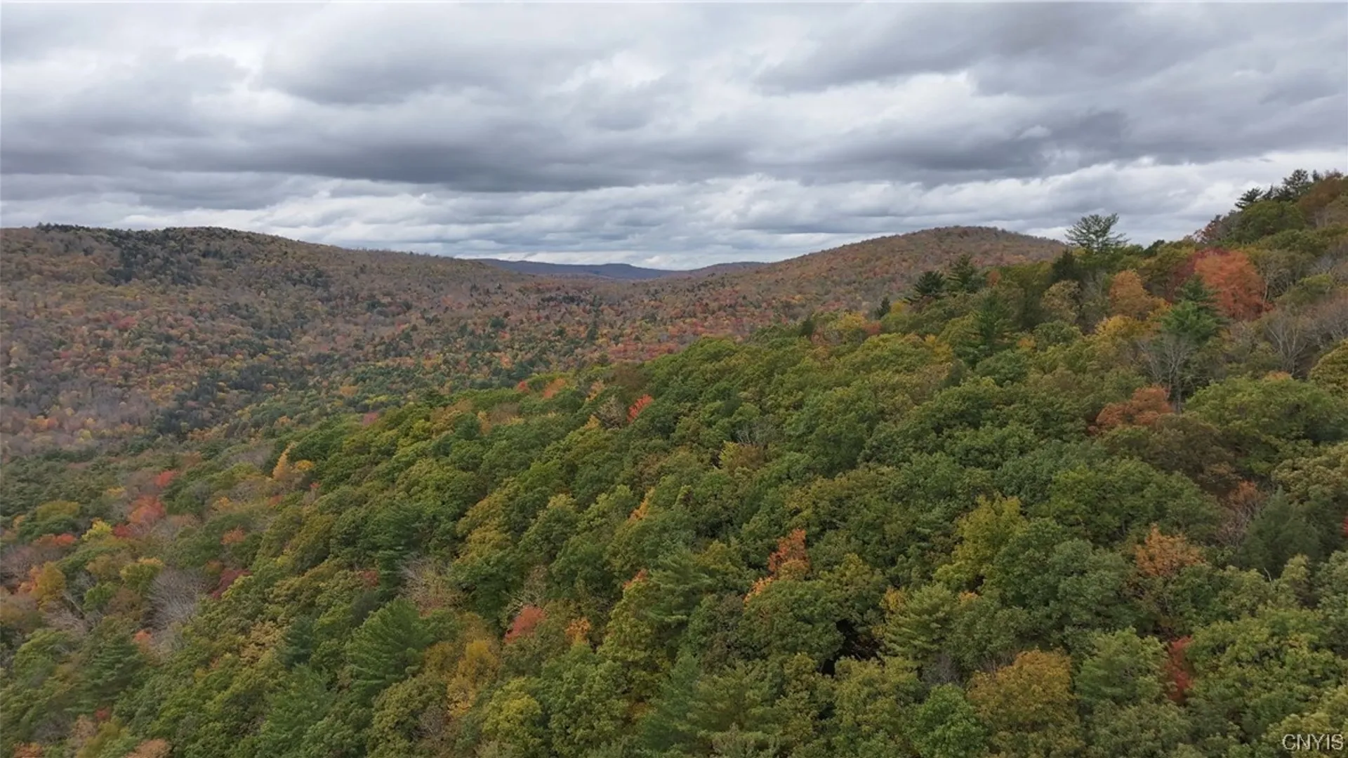 Property at L1 Huntley Hollow Road, Colchester, NY 13752 10