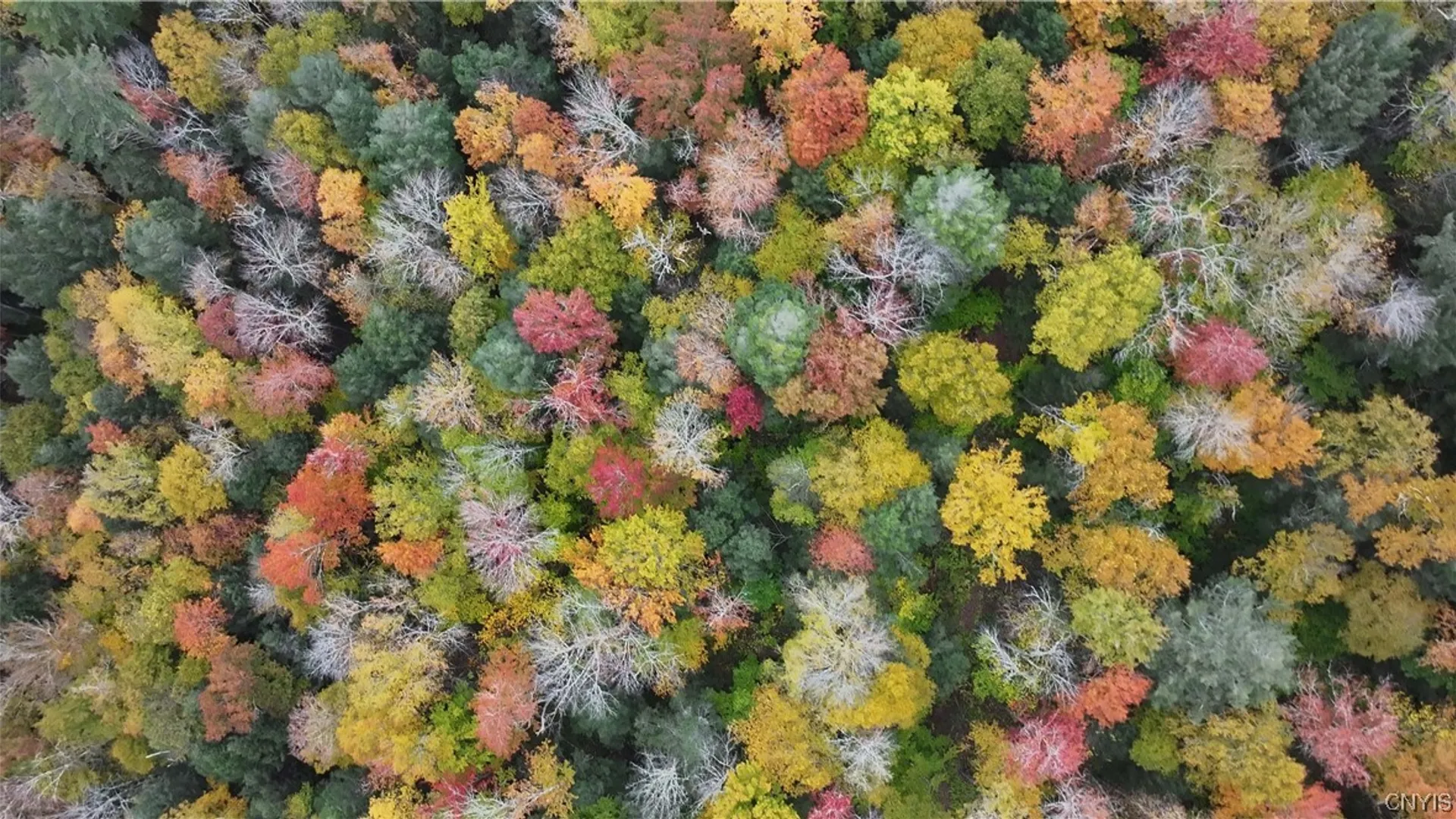 Property at L1 Huntley Hollow Road, Colchester, NY 13752 11