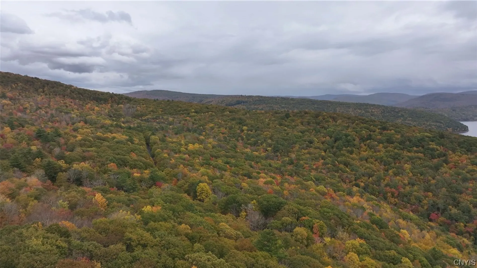 Property at L1 Huntley Hollow Road, Colchester, NY 13752 13