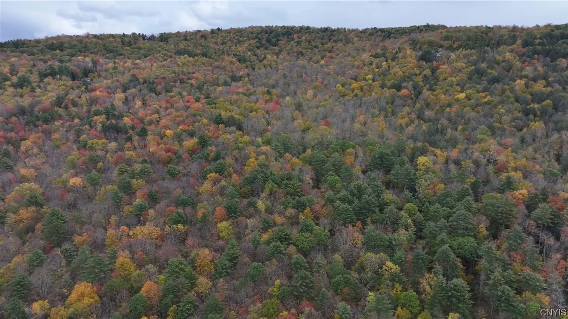 Property at L1 Huntley Hollow Road, Colchester, NY 13752 15