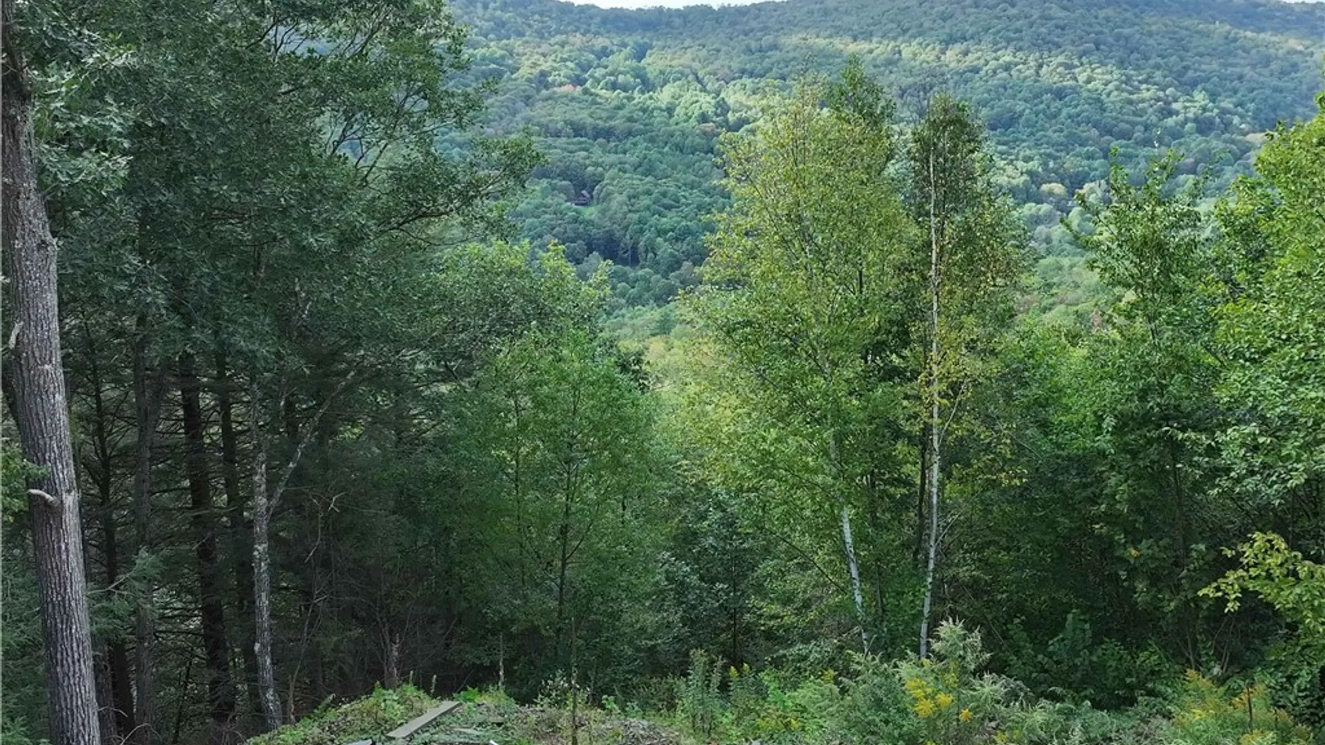 Property at L1 Huntley Hollow Road, Colchester, NY 13752 18