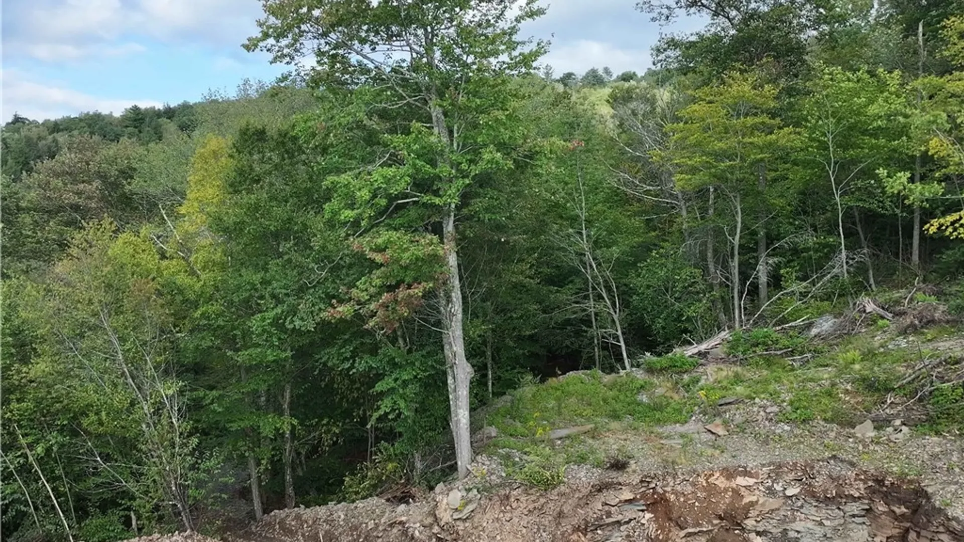 Property at L1 Huntley Hollow Road, Colchester, NY 13752 20