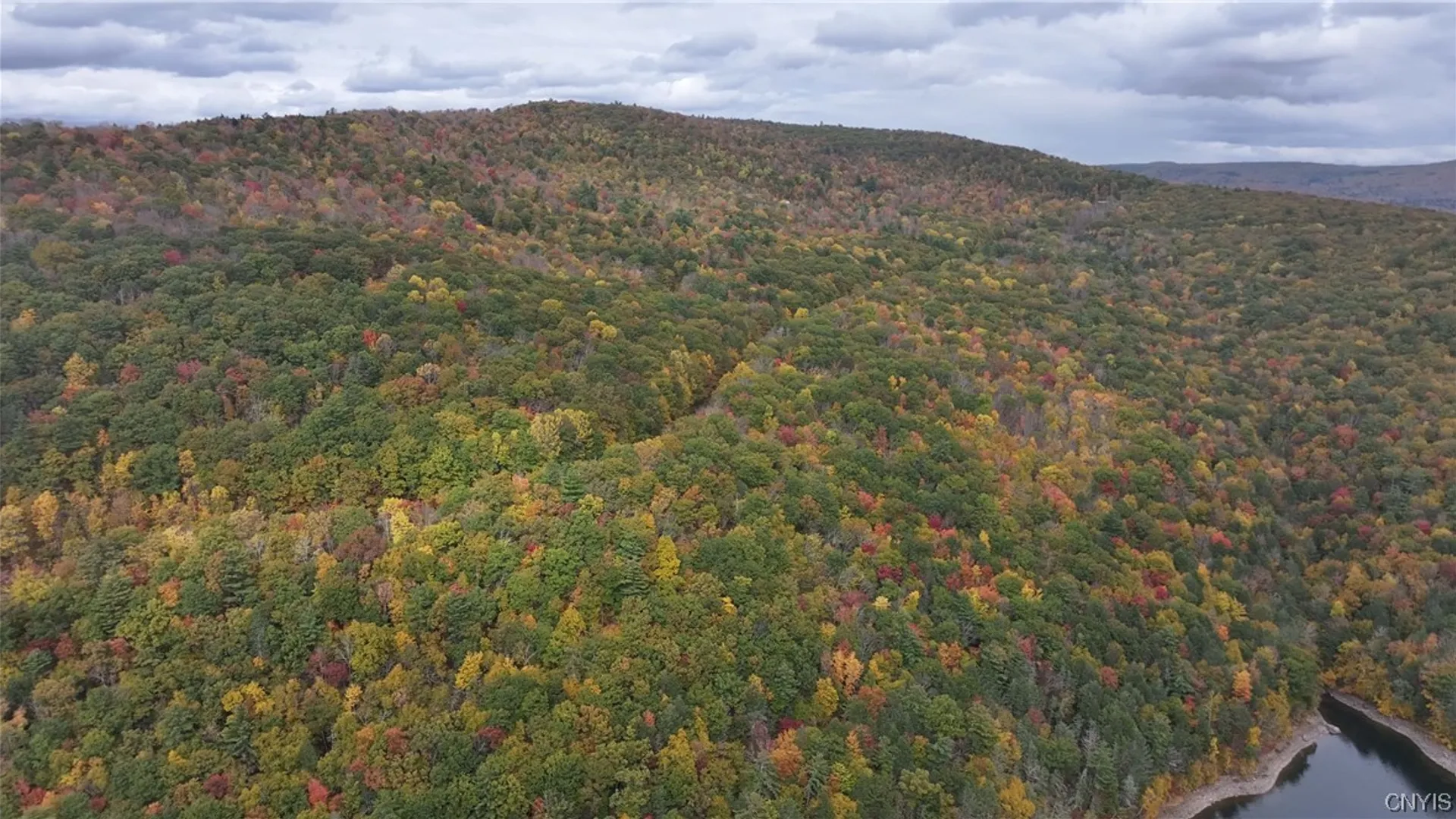 Property at L1 Huntley Hollow Road, Colchester, NY 13752 3