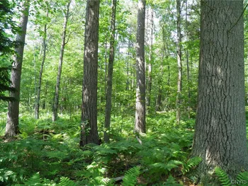 Property at 0 Silver Lake Road, Black Brook Twp, NY 12997