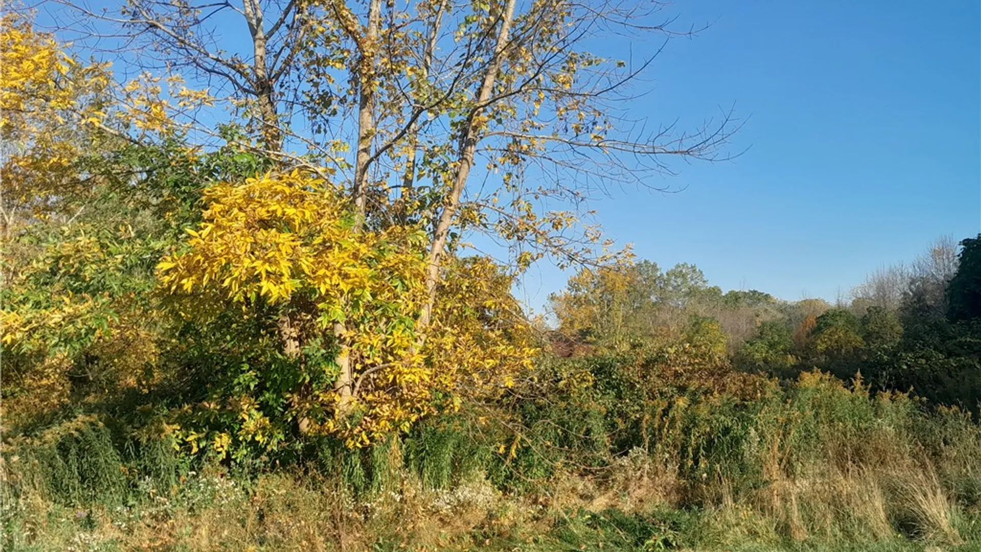 Property at 00 ridge chapel rd, Williamson, NY 14589 2