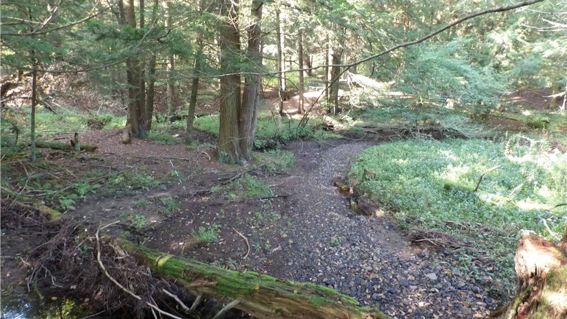 Property at 0 Cabbage Hill Rd, French Creek, NY 14724 12