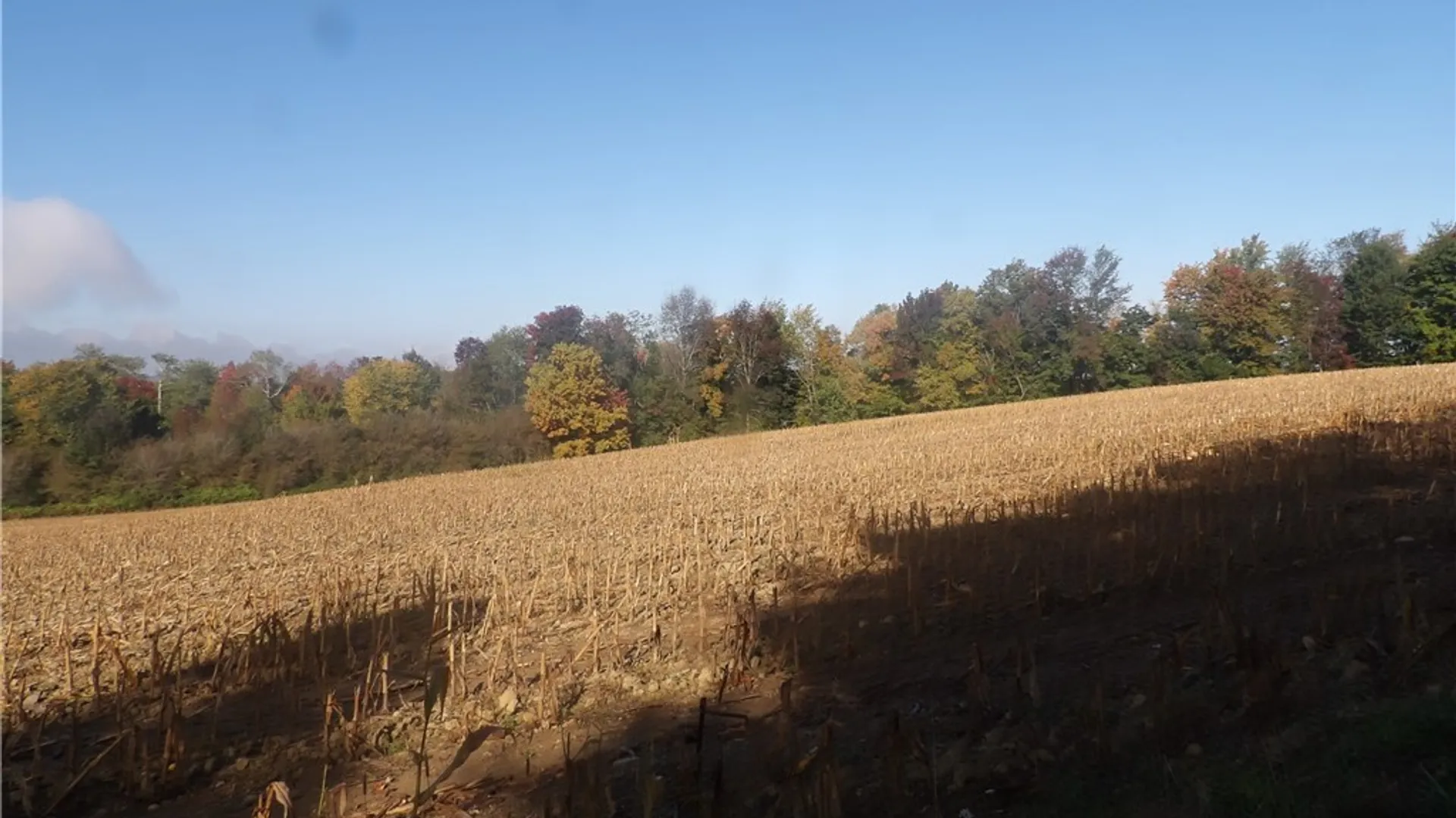 Property at 0 Cabbage Hill Rd, French Creek, NY 14724 19