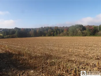 Property at 0 Cabbage Hill Rd, French Creek, NY 14724