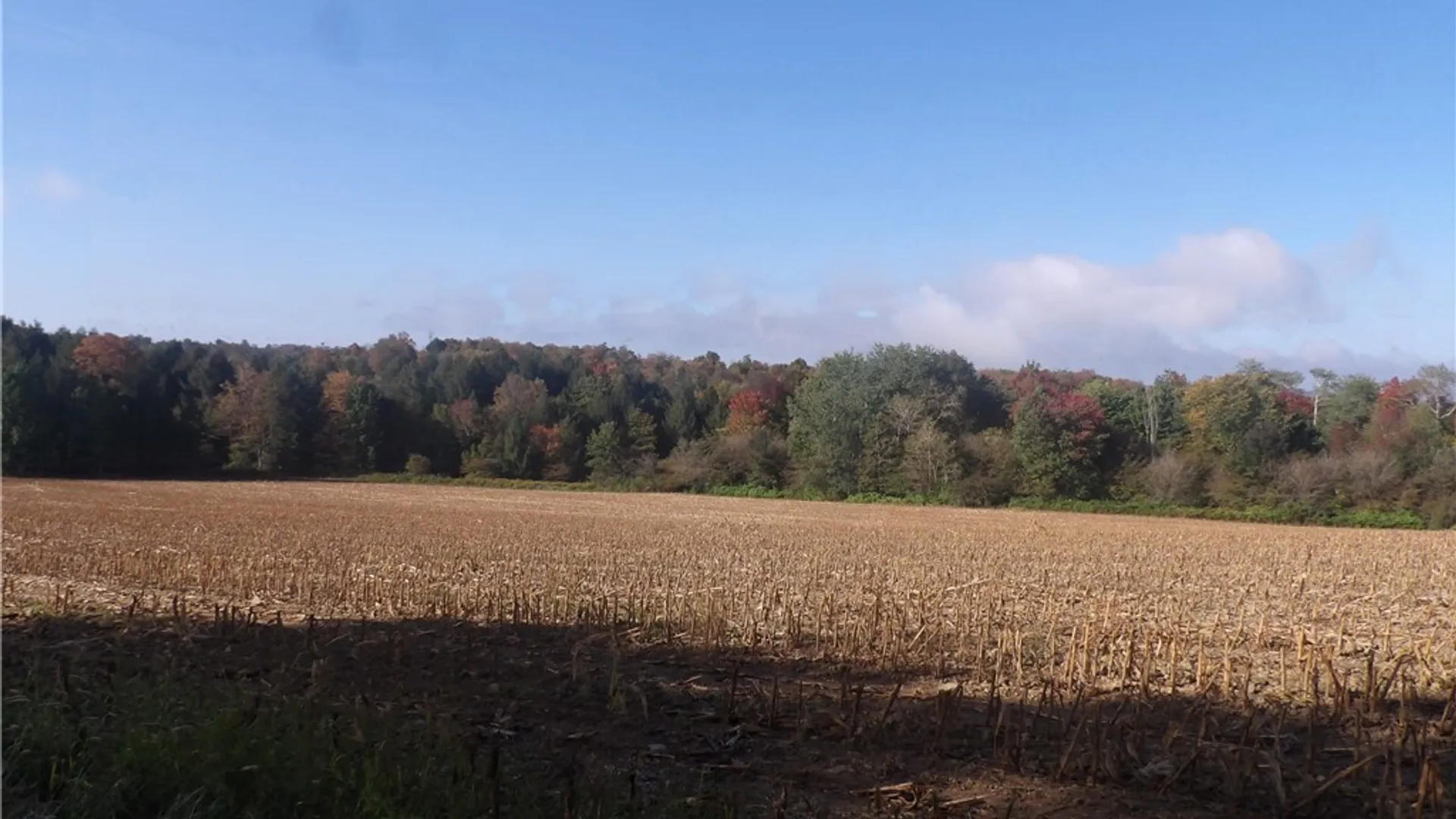 Property at 0 Cabbage Hill Rd, French Creek, NY 14724 20