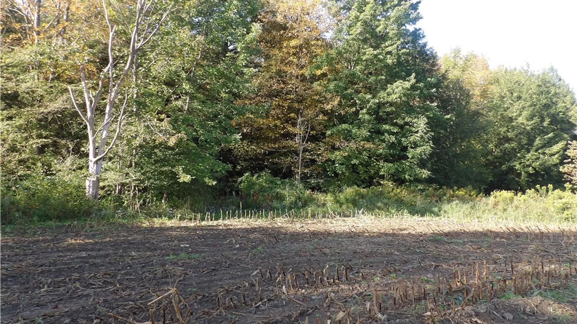 Property at 0 Cabbage Hill Rd, French Creek, NY 14724 4