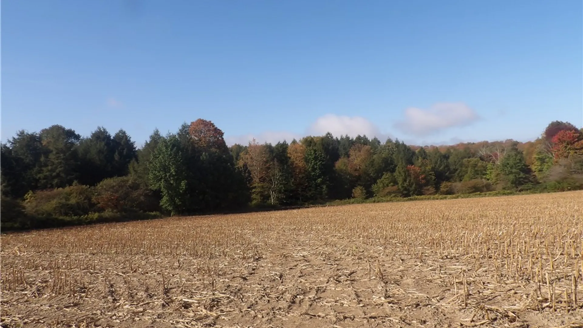 Property at 0 Cabbage Hill Rd, French Creek, NY 14724 5