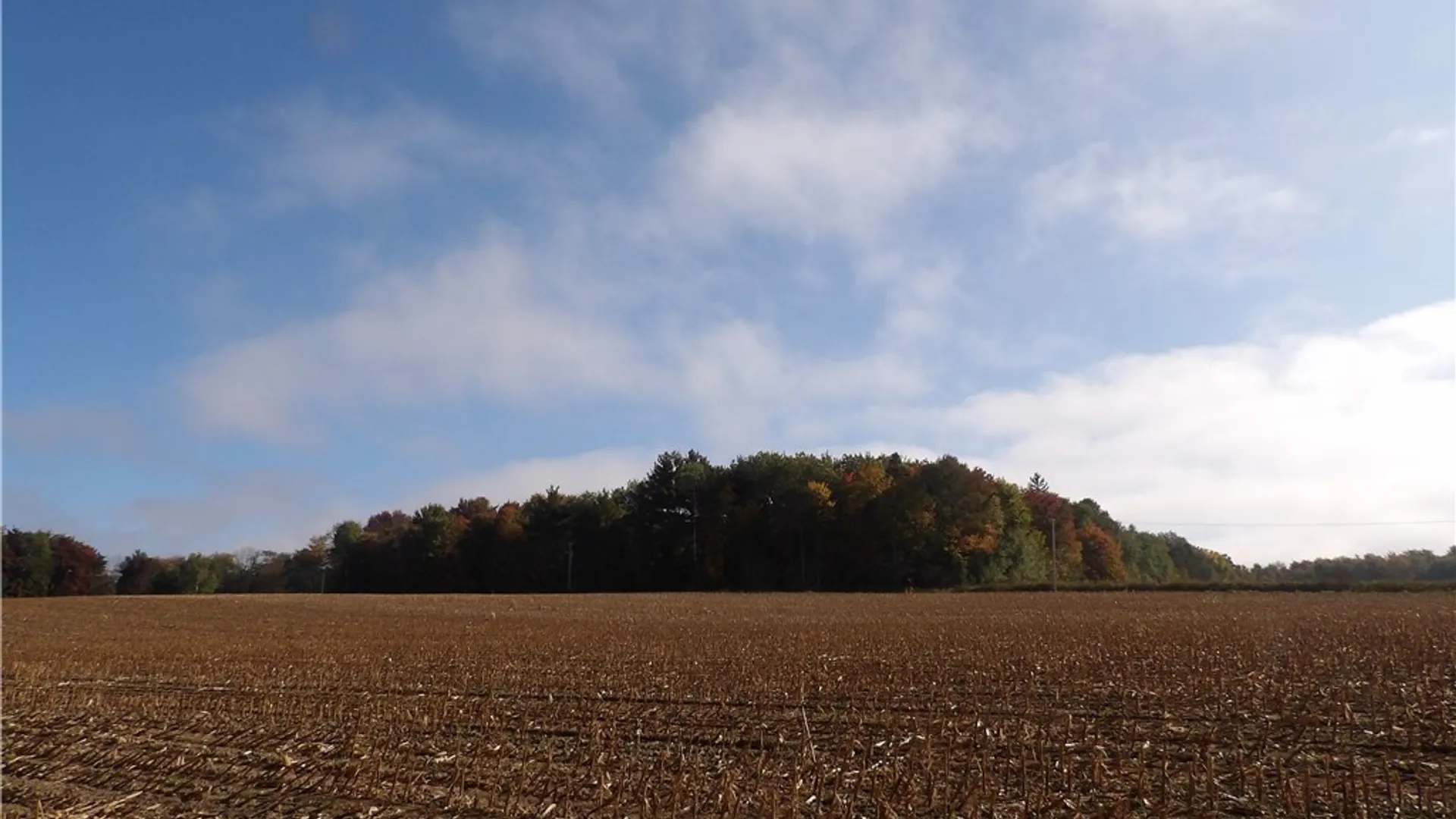 Property at 0 Cabbage Hill Rd, French Creek, NY 14724 6