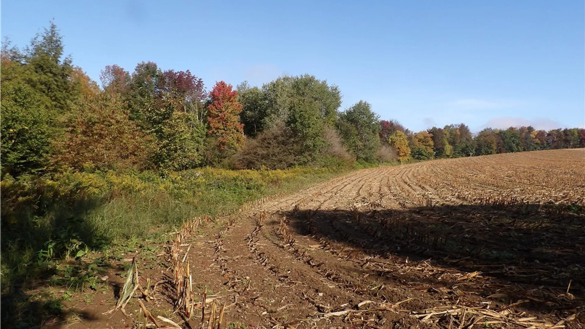 Property at 0 Cabbage Hill Rd, French Creek, NY 14724 7