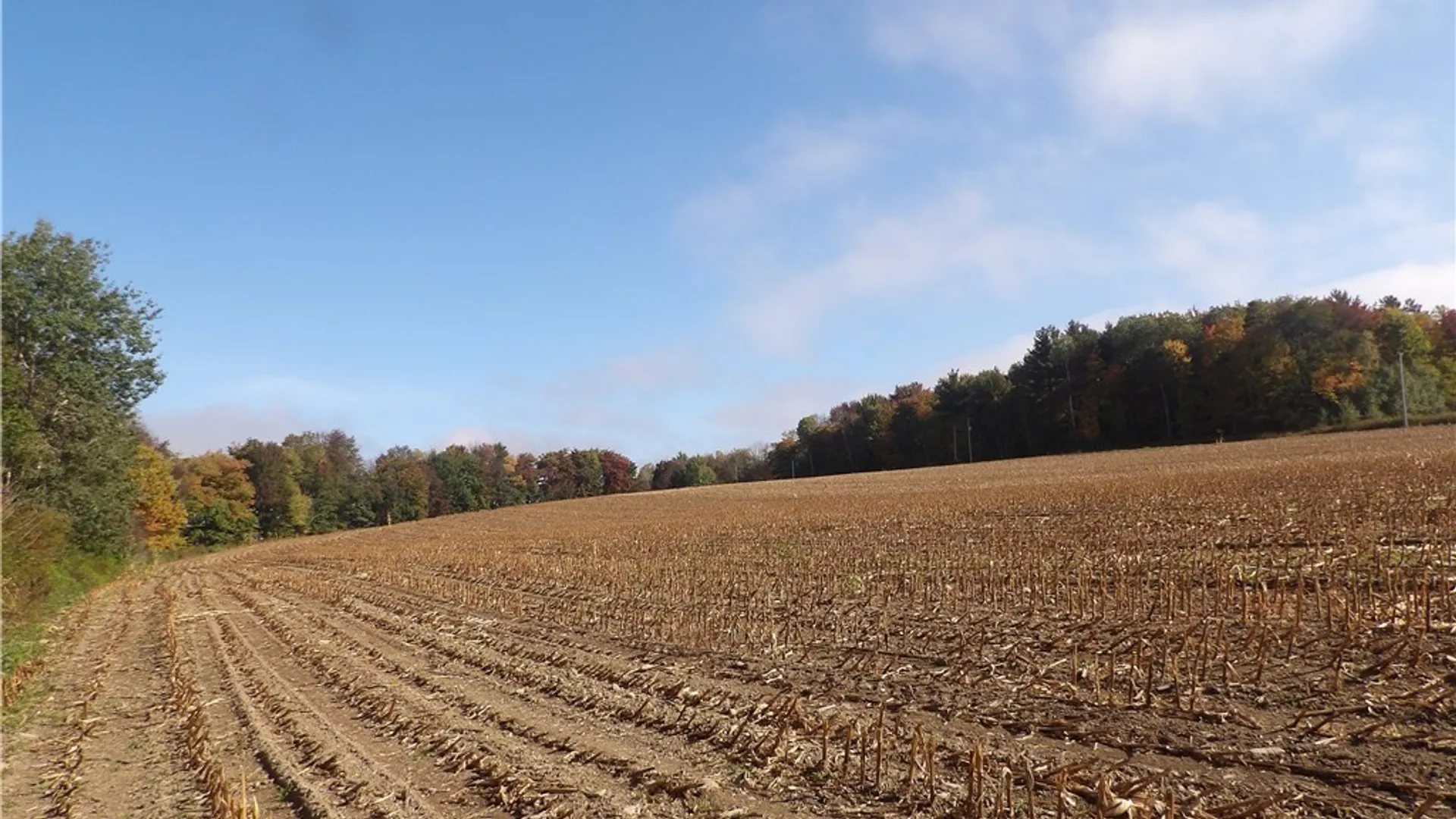 Property at 0 Cabbage Hill Rd, French Creek, NY 14724 8