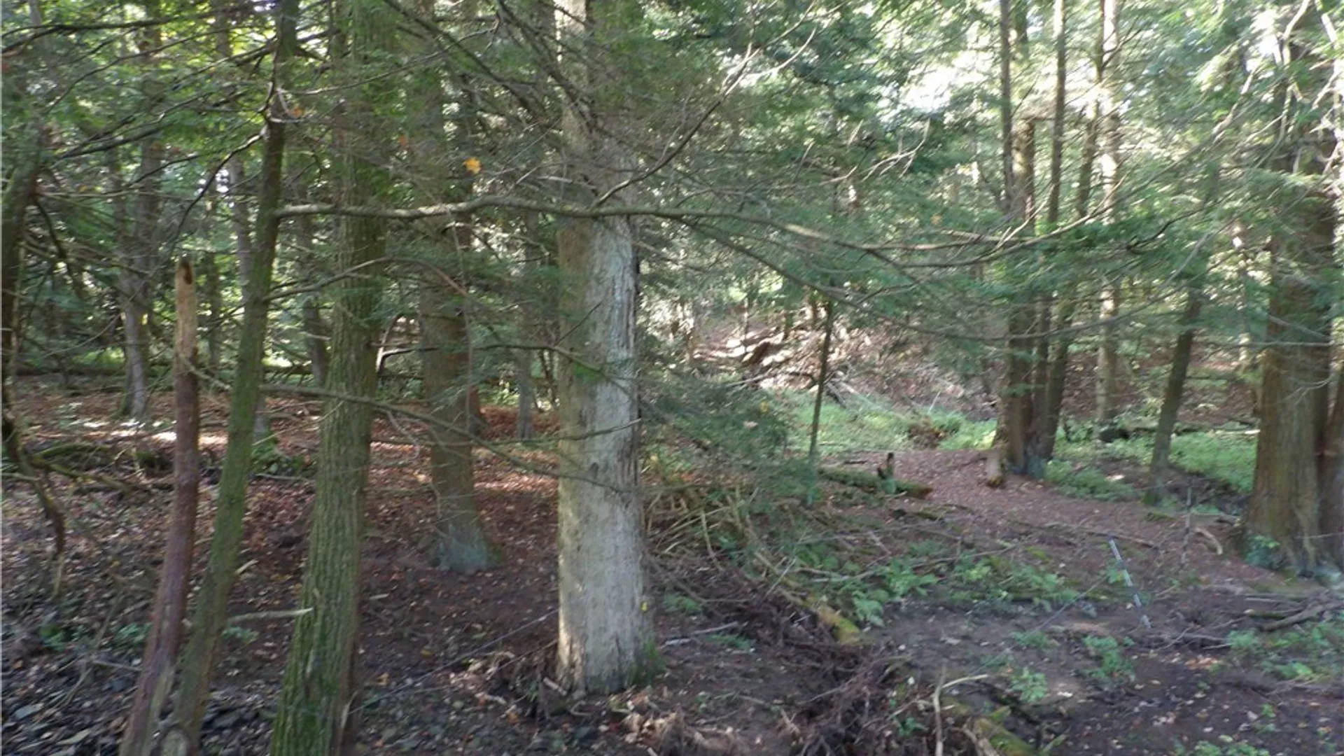 Property at 0 Cabbage Hill Rd, French Creek, NY 14724 9