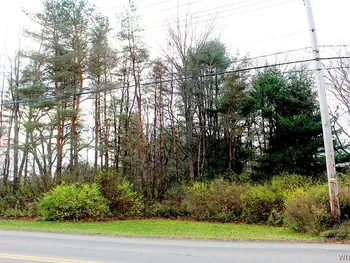 VL Vaughn Street Lot #6, Concord, NY 14141