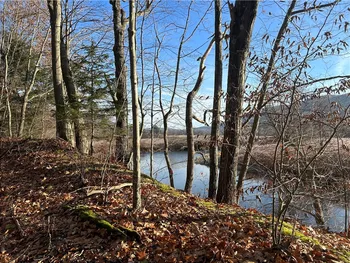 Property at 33830 State Highway 10, Hamden, NY 13782